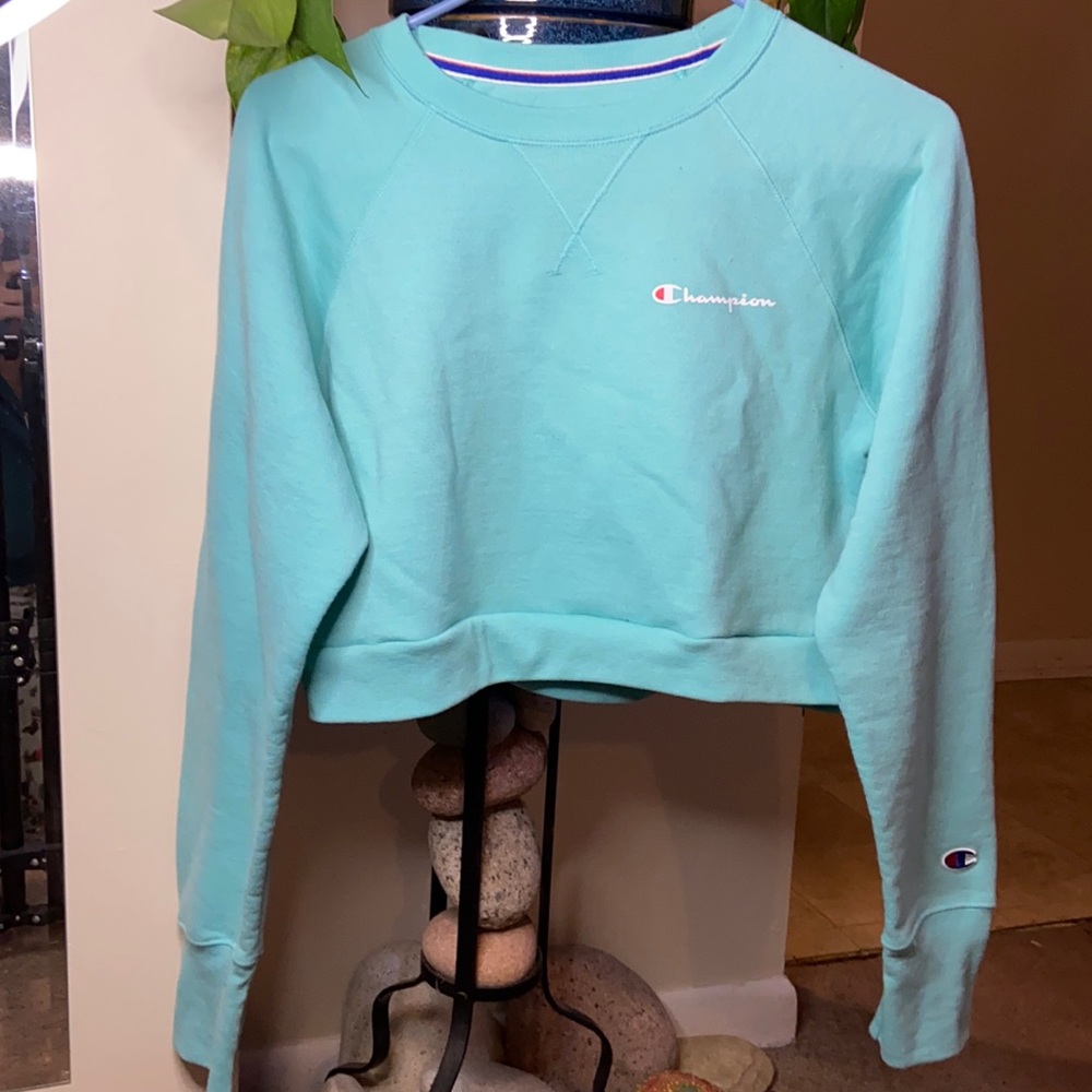 Cropped Champion Hoodie, Size Small